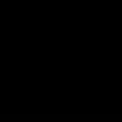 Tiefschwarz RAL 9005 / Tiefschwarz RAL 9005